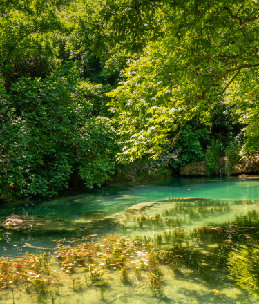 Nature